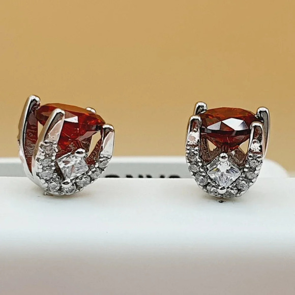 "Birthstone S925 Sterling Silver CZ Stud Earrings for Women/Girl, US19251040